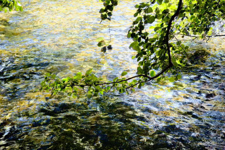 Duografie – Blätterleuchten, 2017