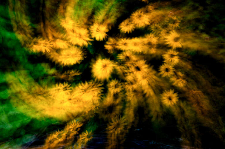 VHS-Fotokurs: – <br>Von der Idee zum Bild – Künstlerische Fotografie