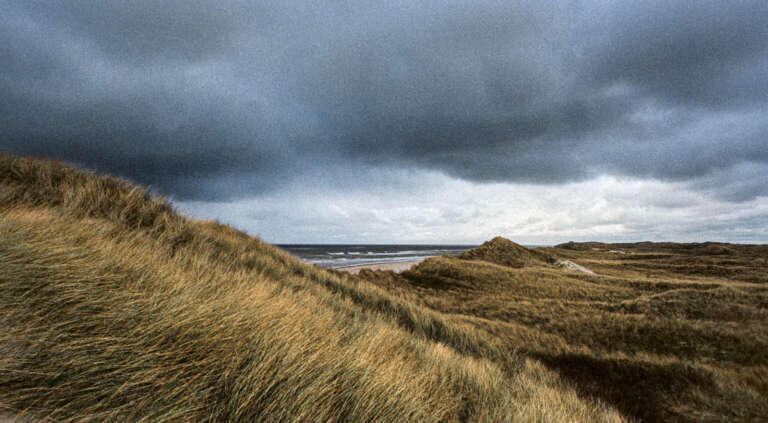 Duografie – Dünenwetter, 2017