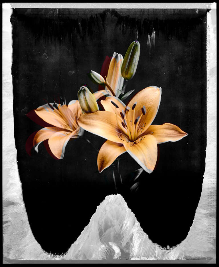 Duografie – Lilien in Orange, 2017