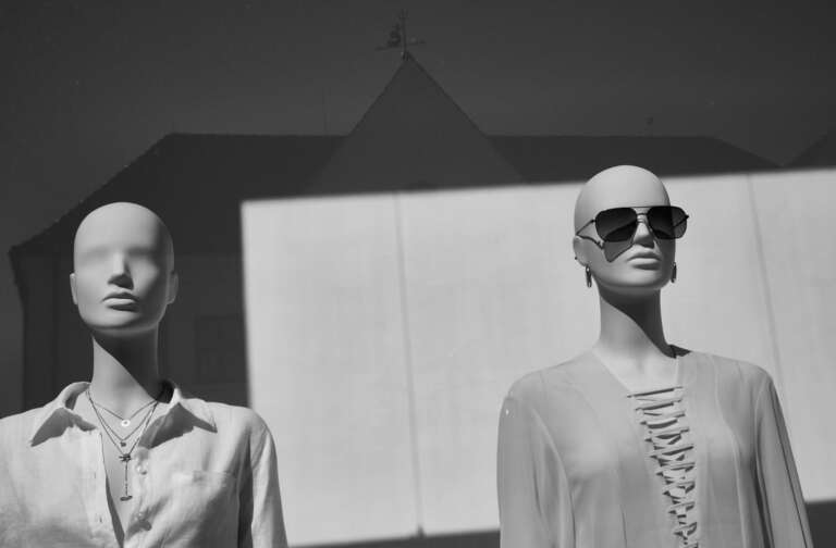 Fotoworkshop „Vom Handy zur Kamera“ und Fotowanderungen