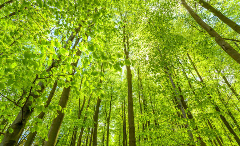 VHS-Fotokurs: – <br>Von der Idee zum Bild – Künstlerische Fotografie