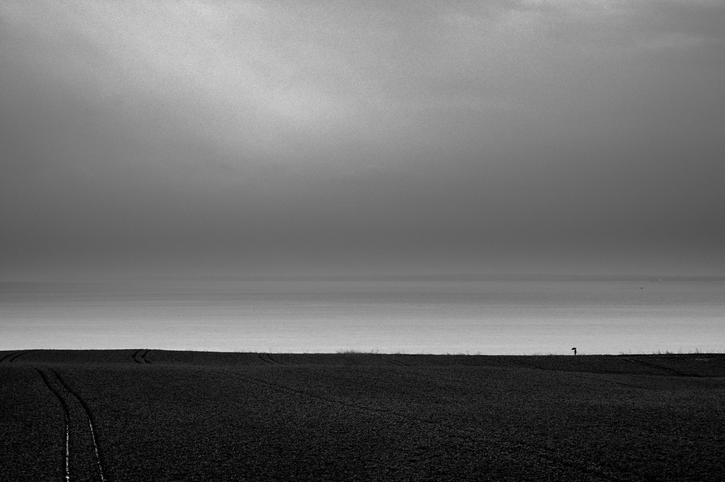 weite-ostsee-im-regen Im weichen Licht der Oktobersonne gleitet eine junge Lachmöwe anmutig über die Wellen vor der Promenade von Travemünde.